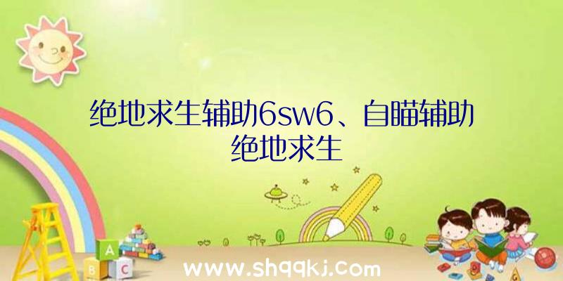 绝地求生辅助6sw6、自瞄辅助